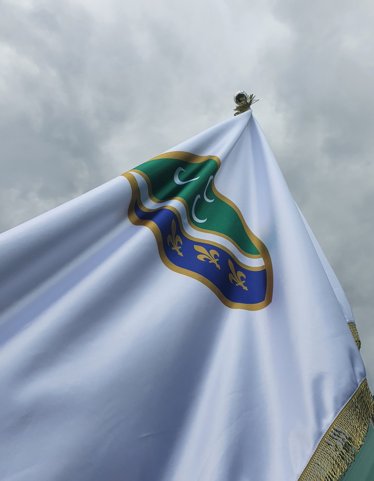 Bošnjačka nacionalna zastava